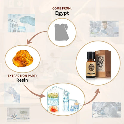 Huile Essentielle d'Ambre Polyvalente - Bougies Savons Aromathérapie Diffuseur - AgorAstrA